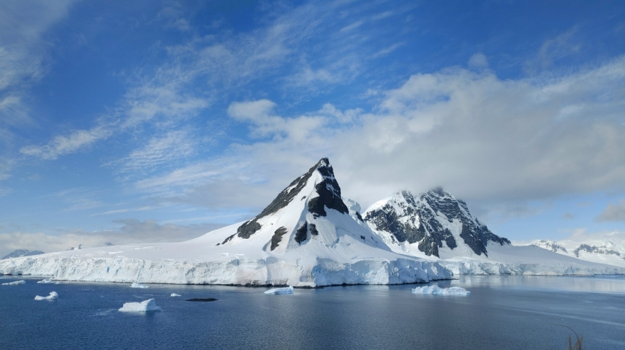 ����������. ���� 19