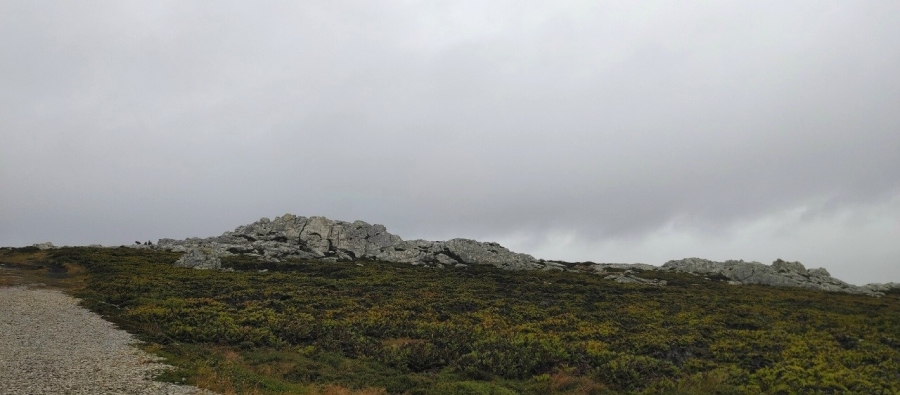 ������ �� ������������ ��������