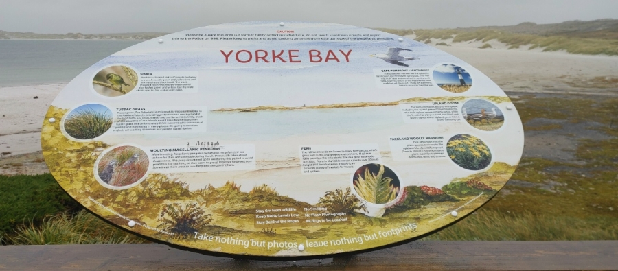 ������� �����