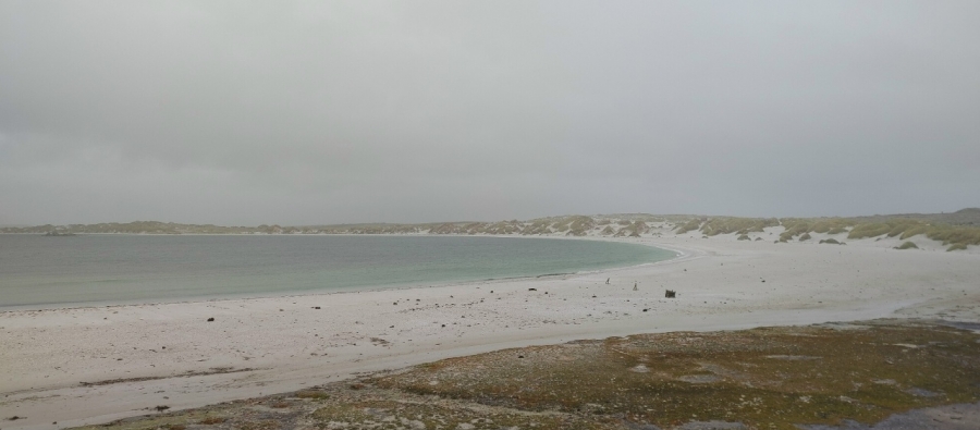 ����� � ��������� ����-������