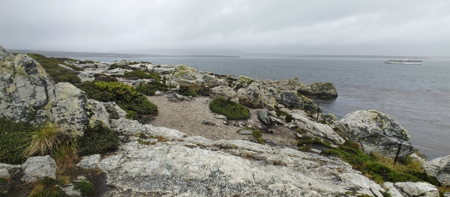 ����� �� ������������ ��������