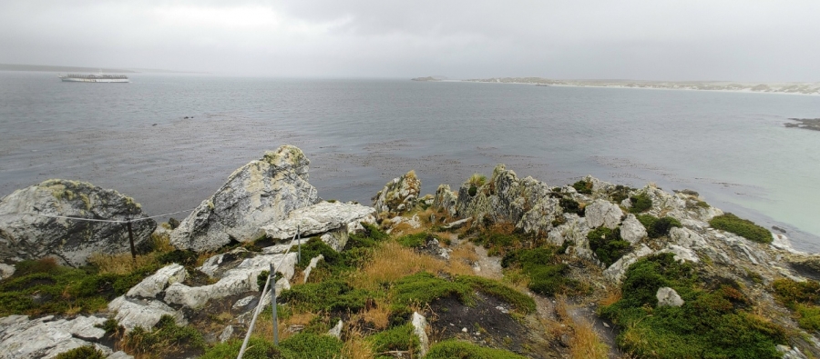 ������ �� ������������ ��������