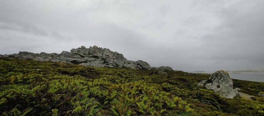 �� ������������ ��������. ���� 3