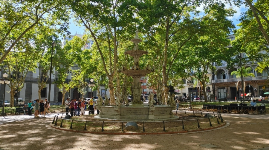 ��� ���� �� ������� ����� �������� �������������