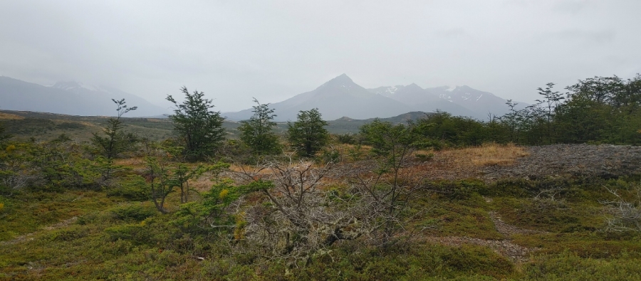 �� ����� � ������ �������