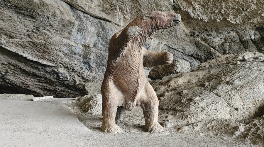 ���������� �������� � ����������� ������