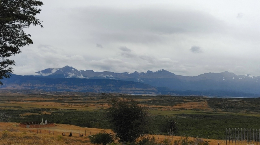 ������������ ����� � ���-��������