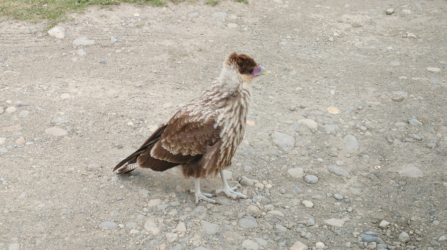 ����� ������������� ���������