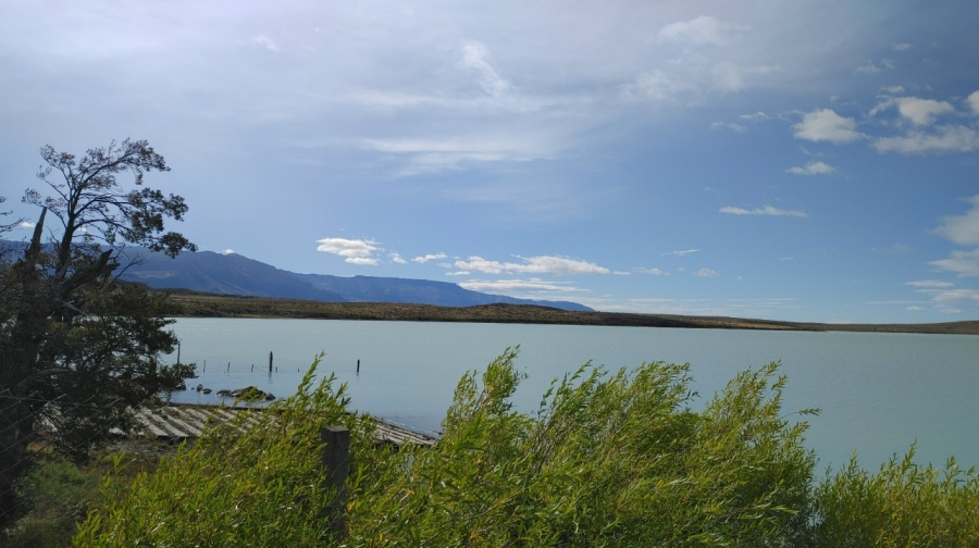 �� ����� ������