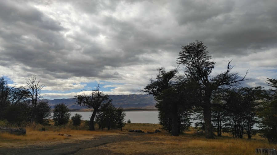 �� ����� ���������