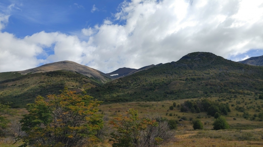 ���� � ����� ���������