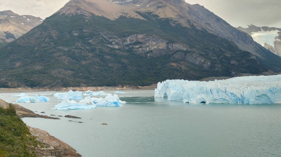 ���� ������� ������-������