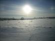 Sleeping Sun