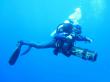 Подводный мир Красного моря (Египет, Шарм эль Шейх.). Фото 23