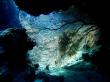 Подводный мир Красного моря (Египет, Шарм эль Шейх.). Фото 31