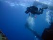 Подводный мир Красного моря (Египет, Шарм эль Шейх.). Фото 76