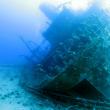 Подводный мир Красного моря (Египет, Шарм эль Шейх.). Фото 92