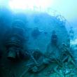 Подводный мир Красного моря (Египет, Шарм эль Шейх.). Фото 93