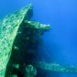 Подводный мир Красного моря (Египет, Шарм эль Шейх.). Фото 96