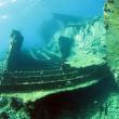 Подводный мир Красного моря (Египет, Шарм эль Шейх.). Фото 98