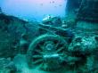 Подводный мир Красного моря (Египет, Шарм эль Шейх.). Фото 100