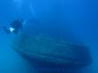 Подводный мир Средиземного моря. Мальта.. Фото 3