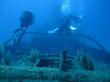 Подводный мир Средиземного моря. Мальта.. Фото 4