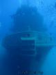 Подводный мир Средиземного моря. Мальта.. Фото 6
