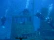 Подводный мир Средиземного моря. Мальта.. Фото 7