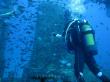 Подводный мир Средиземного моря. Мальта.. Фото 8