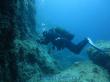 Подводный мир Средиземного моря. Мальта.. Фото 11