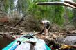 Зеленые бобры на расчистке Лапшанги от завалов, фото 18