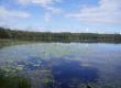 Озеро Светецкое, фото 1