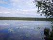 Озеро Светецкое, фото 2