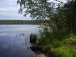 Озеро Светецкое, фото 3