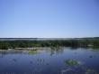 Озеро Великое к северо-востоку от Вязников (фото с северного берега)