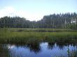 Озеро Щеголево во Владимирской области, 600 м от границы с Нижегородской областью