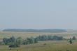 Мордовская священная роща Явлей. Вид с дороги Лукоянов-Болдино 3 км. Фото 1