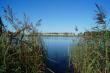 Озеро Камское. Именно это озеро дало часть названия Камско-Бакалдинской группе озер.