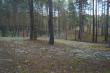 Сказочный осенний лес по дороге к озеру Родионово. Фото 7