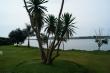 На берегу озера Виктория, фото 2