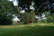 В Угандском ботаническом саду