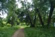 Заброшенный парк у руин замка Оболенских в Красной Горке
