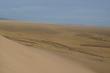 Вид на стоянку с песков Хонгорын-Элс в направлении Сэврэй