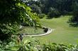     (Singapore Botanic Garden)