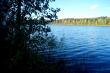 Озеро Окунево (Большое Окунёво) - республика Марий Эл. Вид с западного берега