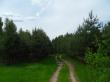 Лесной дорогой к п. Нагорный