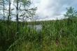 Озеро Пиявочное в окружении клюквенного болота