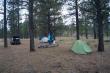      (Dixie National Forest)   -