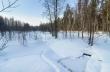 Заснеженное русло Богдановки